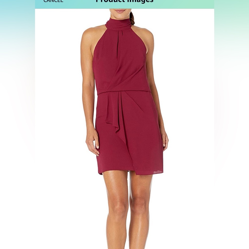 Elegant Burgundy Dress